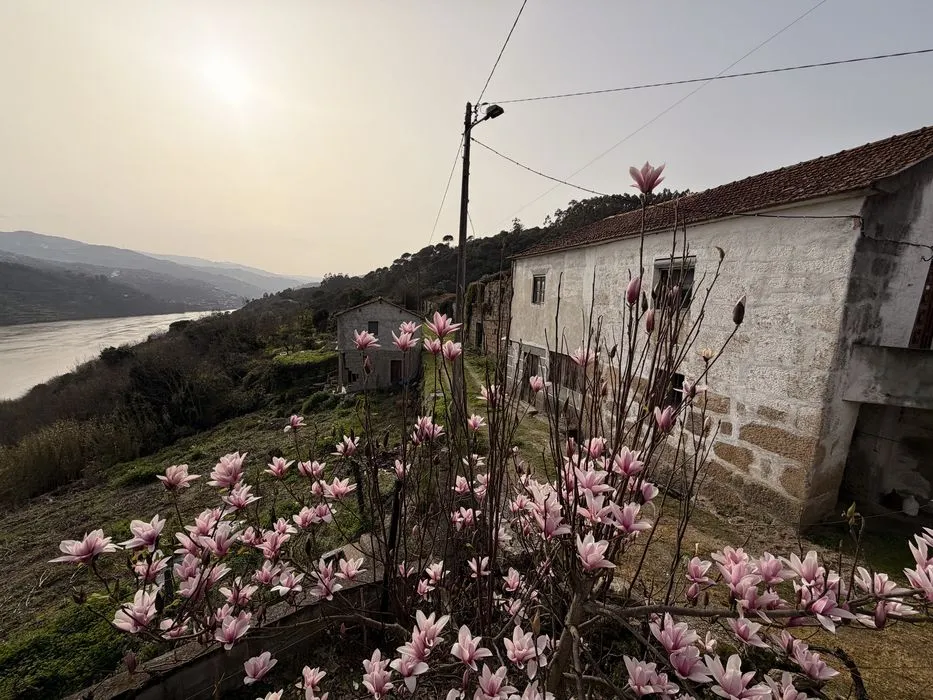 Rustic Housing with Land and Douro River Views