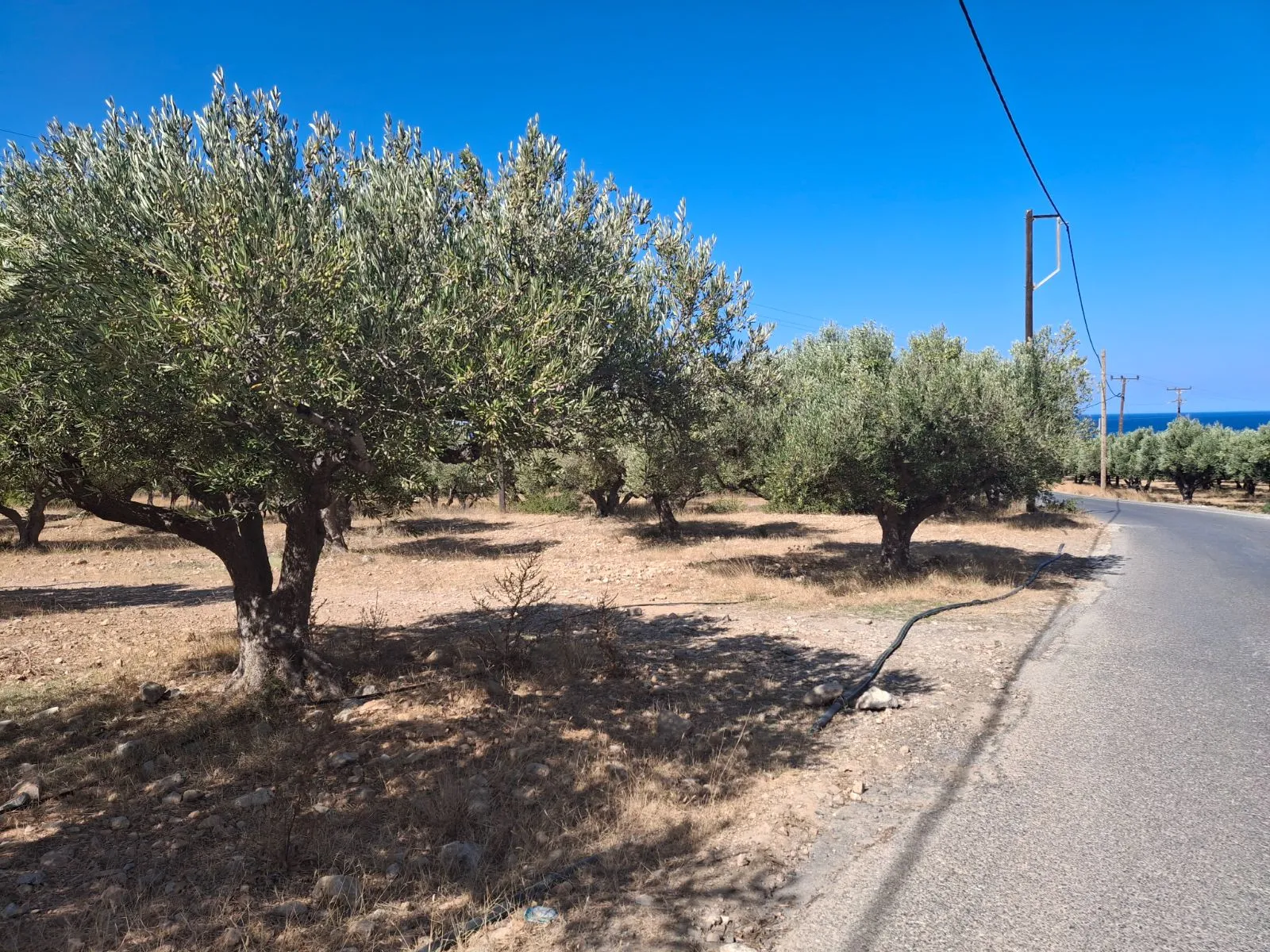 Land Plot for sale - Kissamos, Falasarna