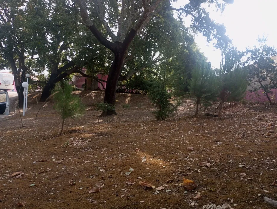 Swimming pool and garden area