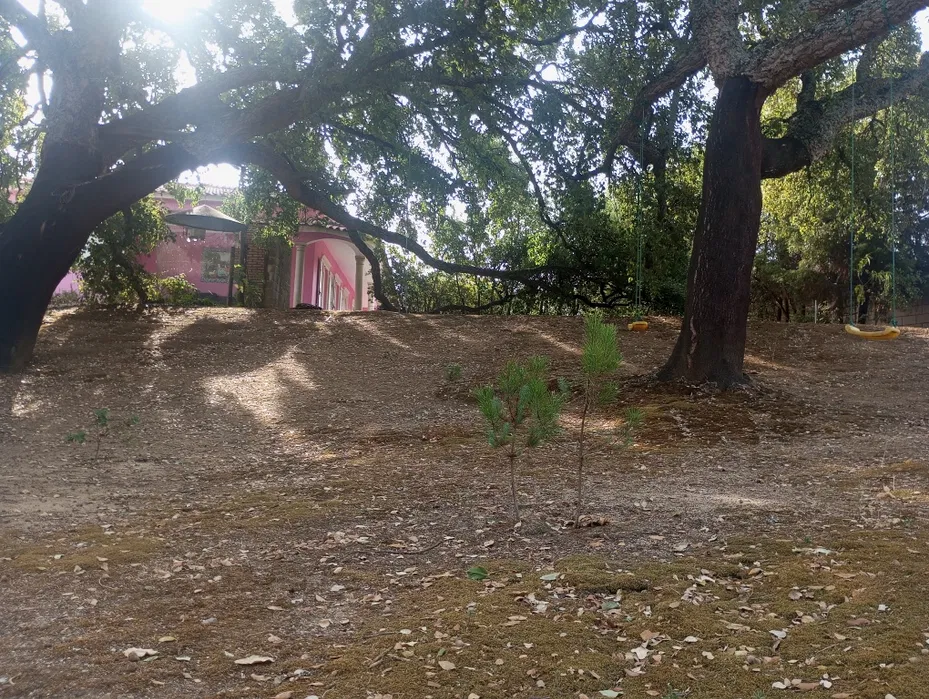 Modern kitchen with white quartz island