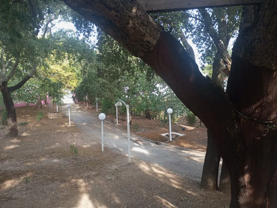 Property entrance with paved road