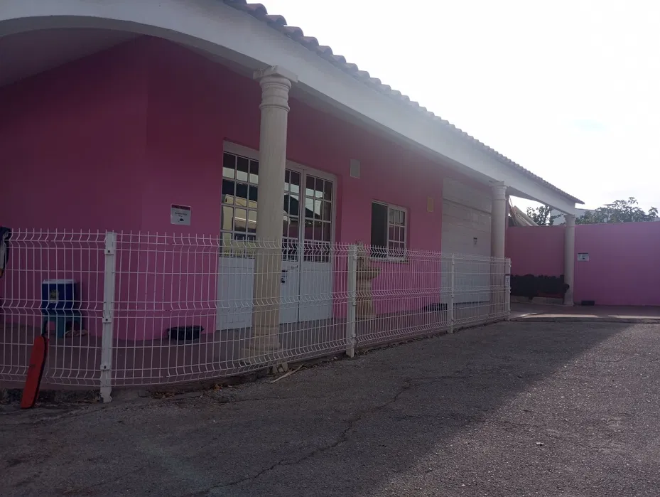 Century-old trees on the property